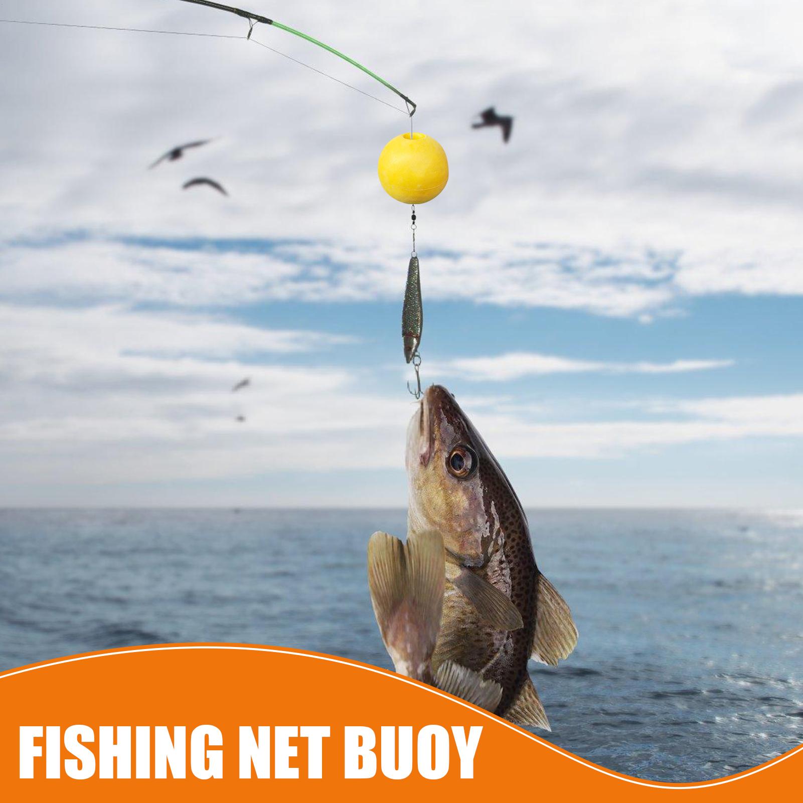 عوامات تحديد المواقع للصيد، عو - مراجعة Fishing Kayak Sit On Top وسعره